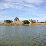 Paseo en barca y vistas a una barraca